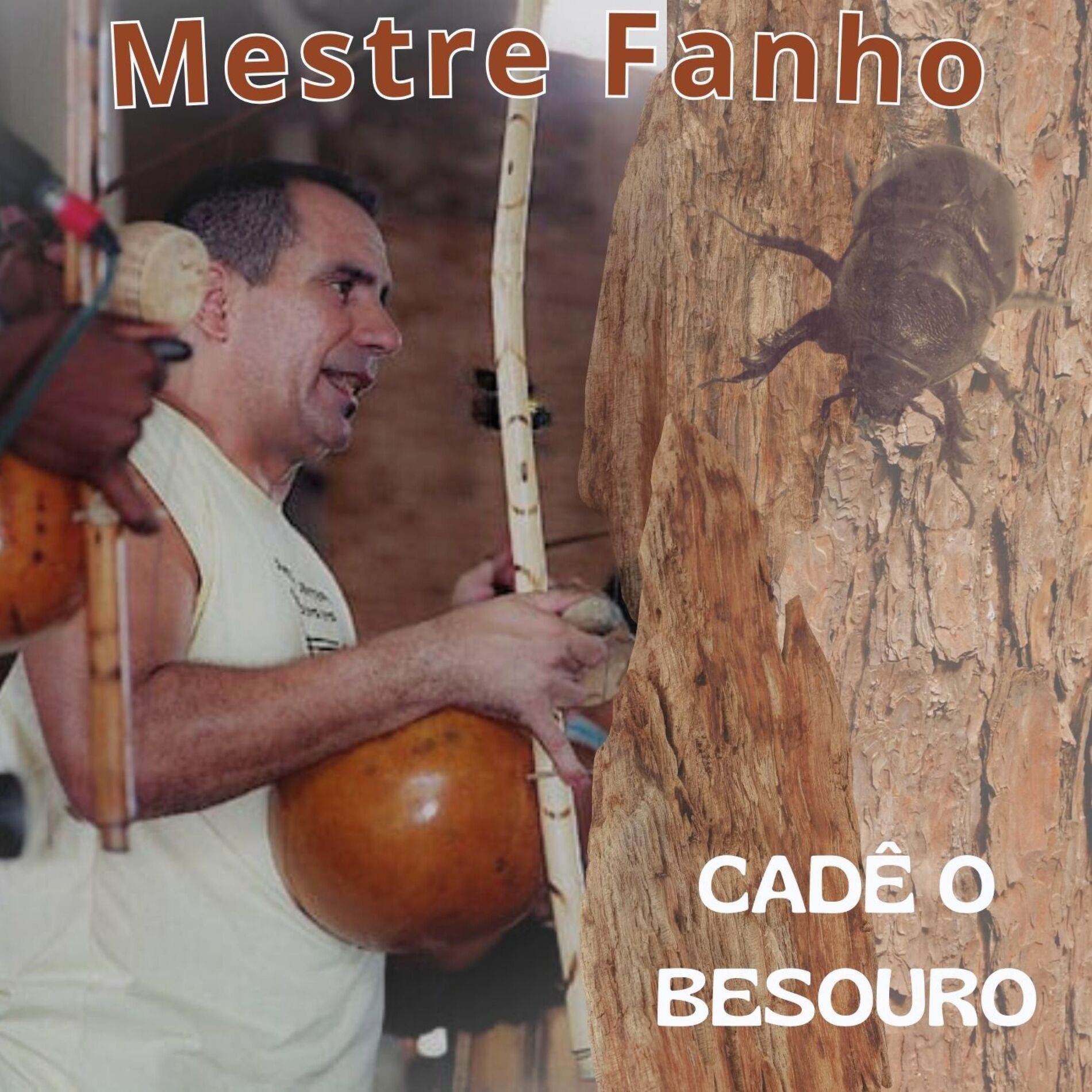 Album cover of CADÊ O BESOURO
