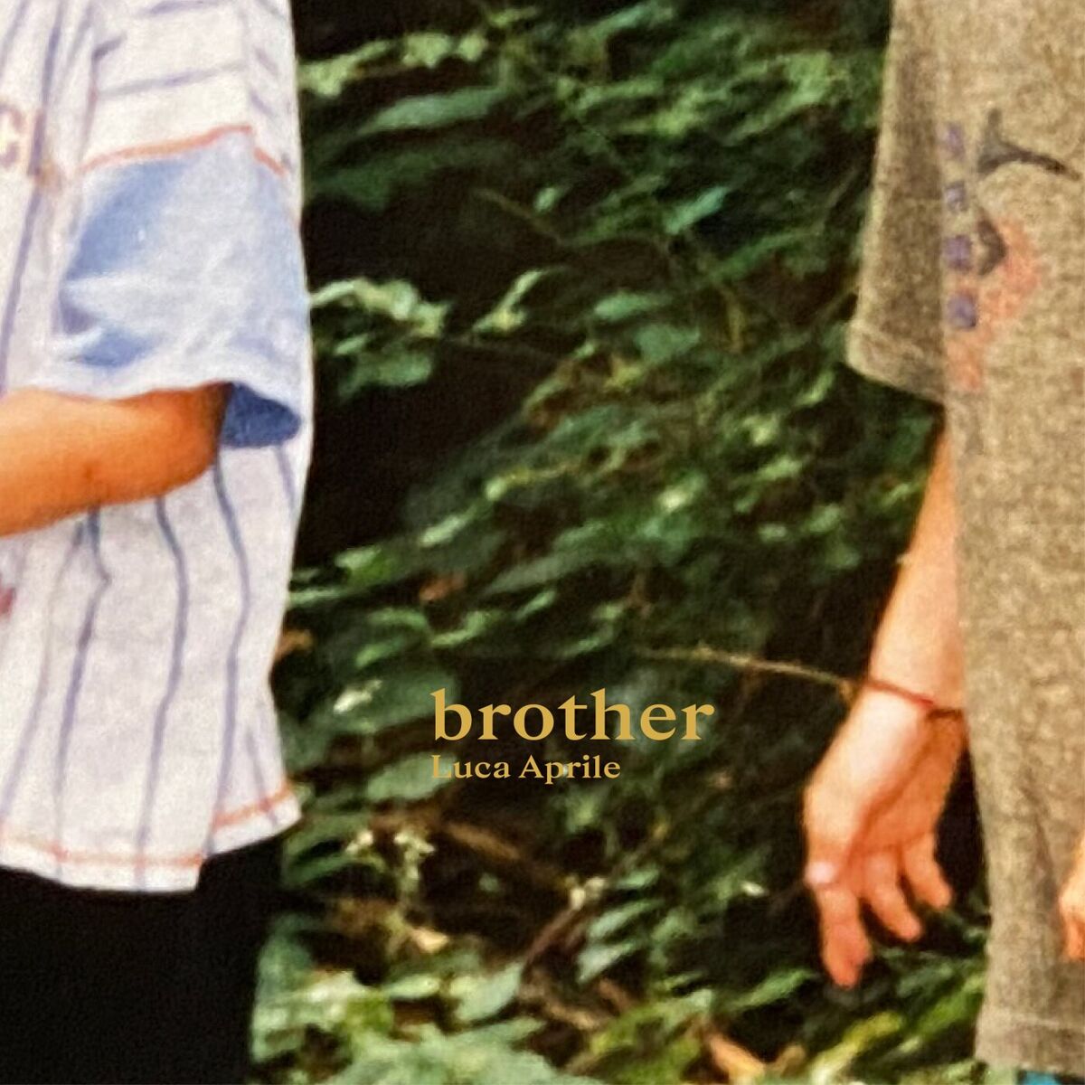 Album cover of Brother
