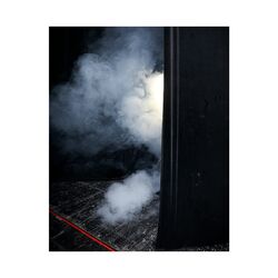 Cover of Ancient Dust