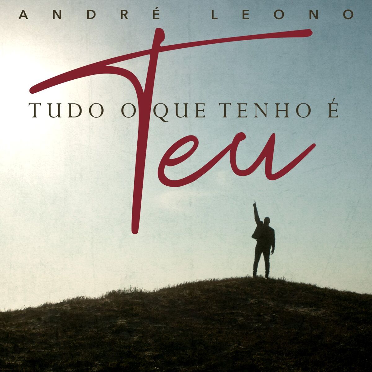 Album cover of Tudo o Que Tenho é Teu