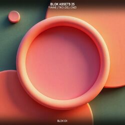 Cover of BLOK ASSETS 25