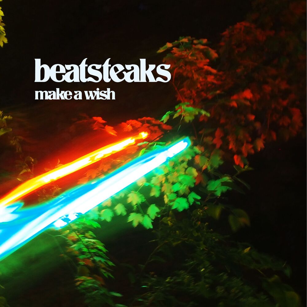 Picture of Make a Wish