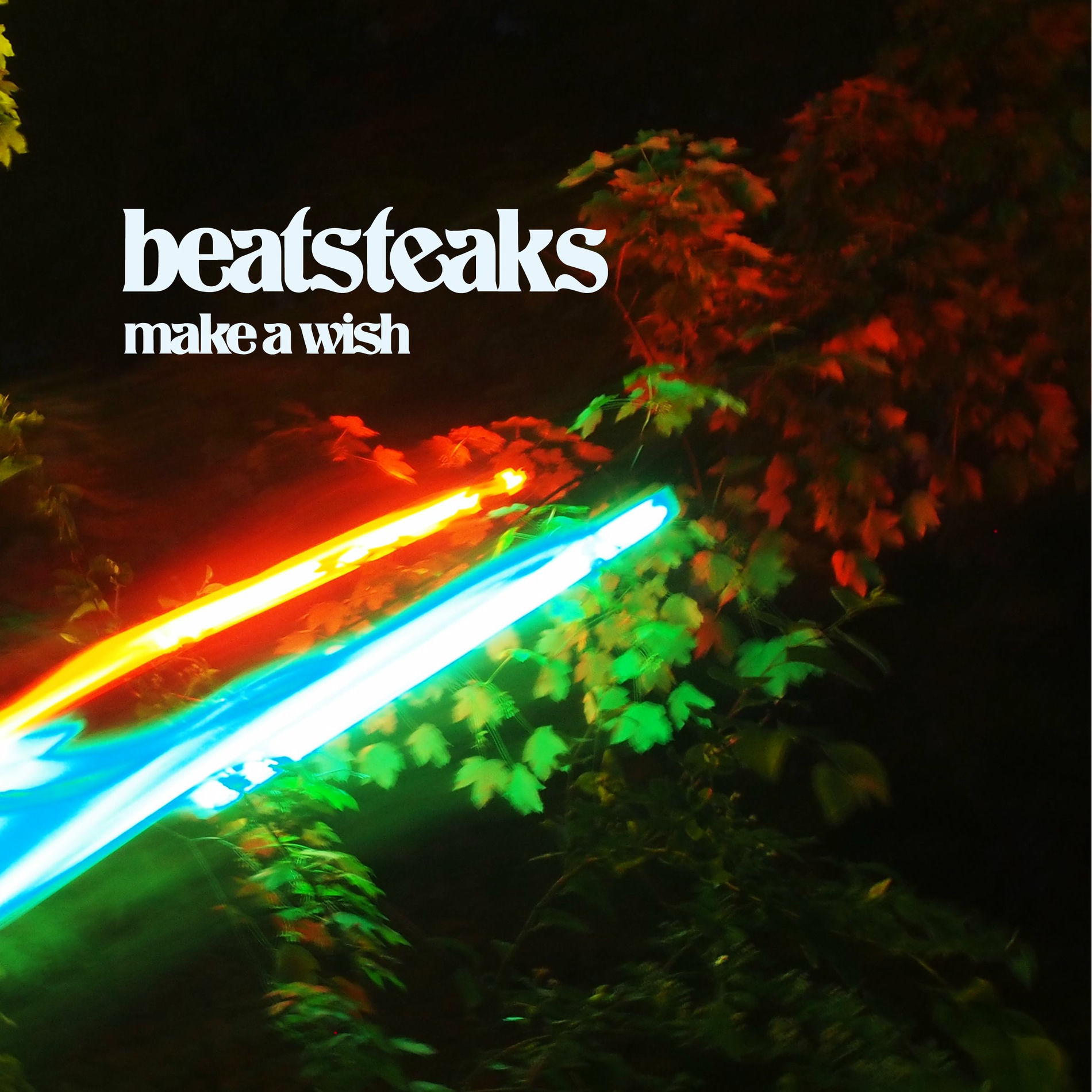 Album cover of Make a Wish