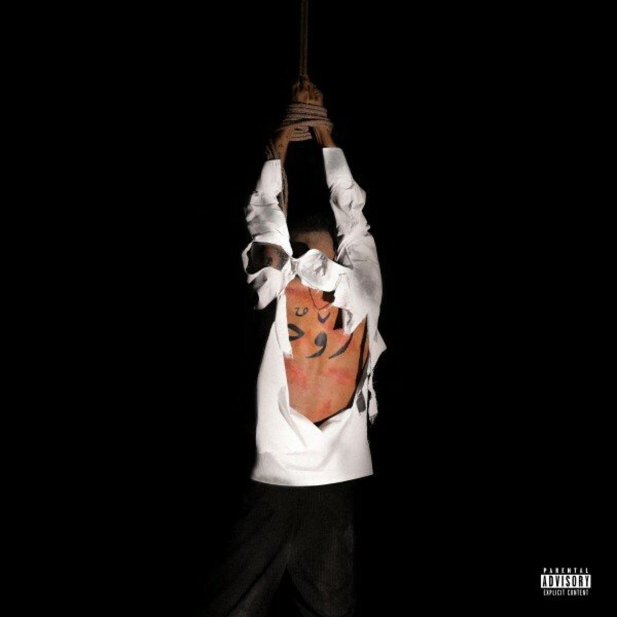 Album cover of DAAM