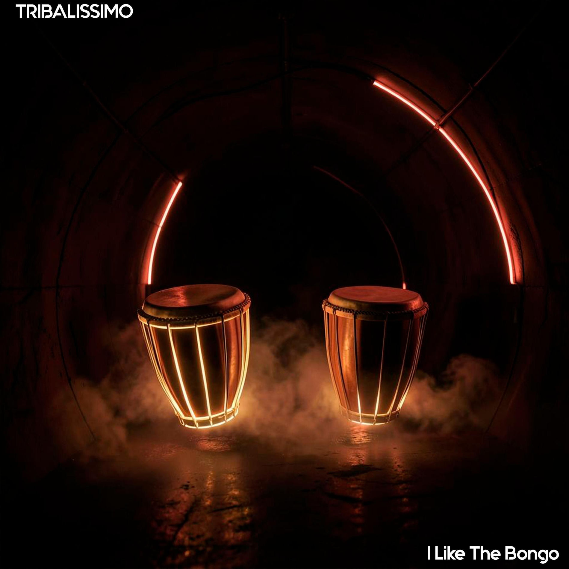 Album cover of I Like The Bongo