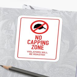 Cover of Cappin