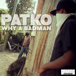 Cover of Why a Badman