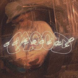 Cover of mood especial