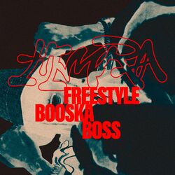 Cover of Booska Boss