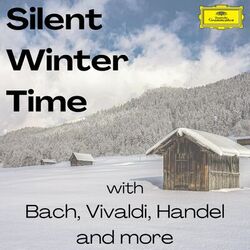 Cover of Silent Winter Time