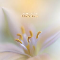 Cover of Feng Shui