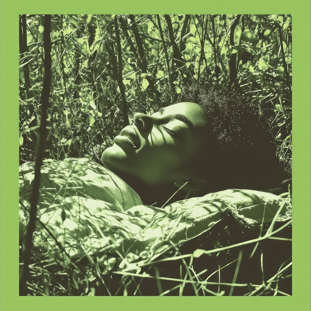 Album cover of Equanimity Land