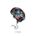 Ydk (feat. Ava Re)