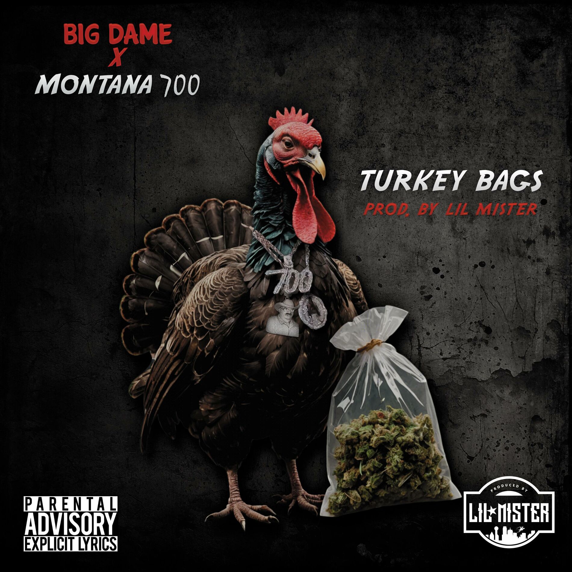 Album cover of Turkey Bags