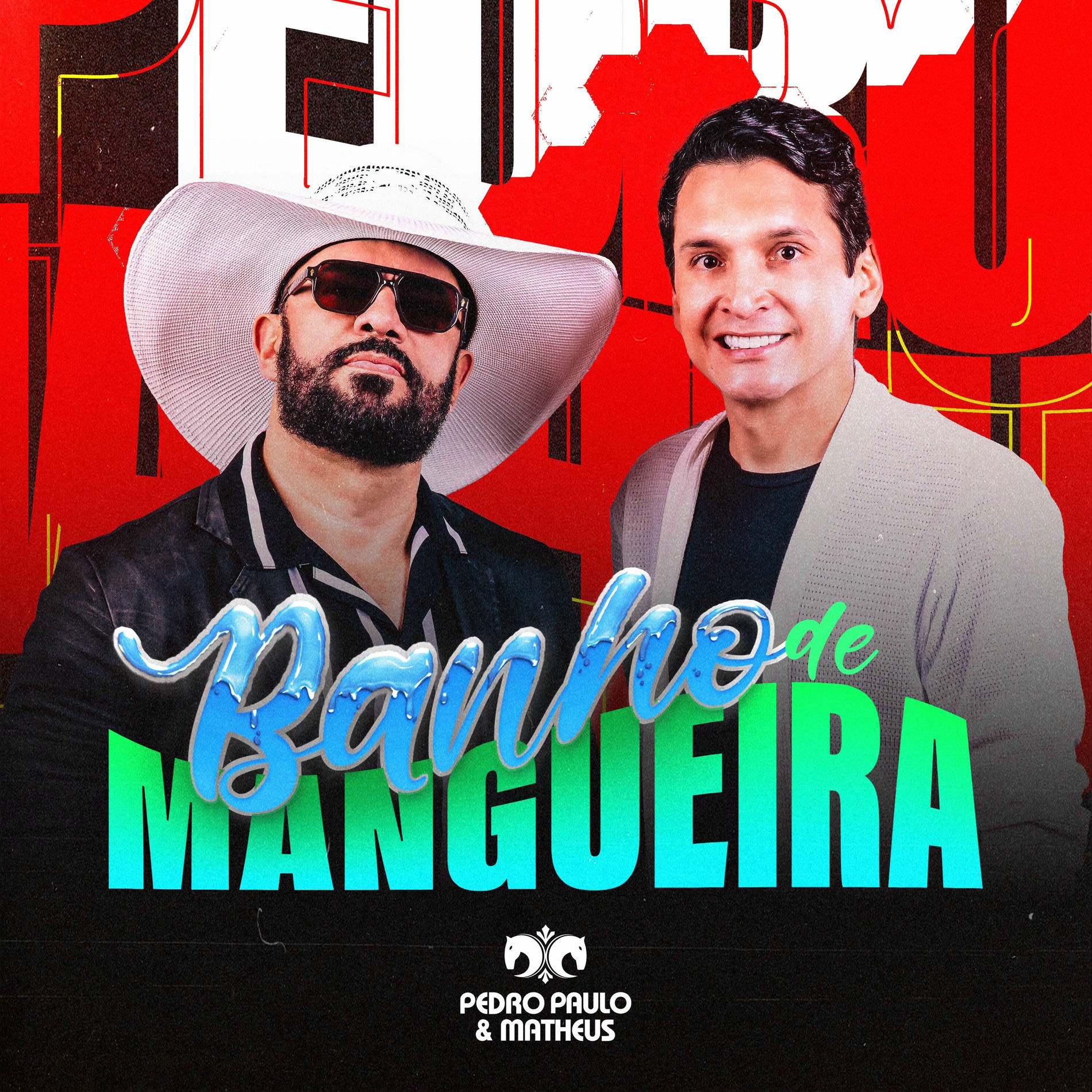 Album cover of Banho de Mangueira