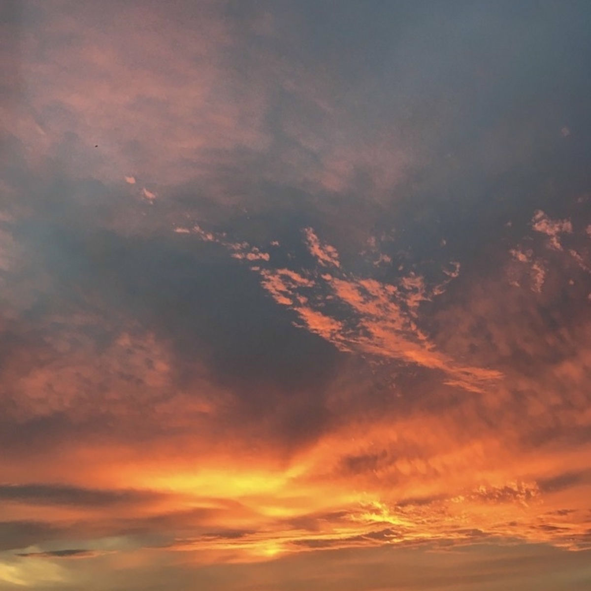 Album cover of Maasai