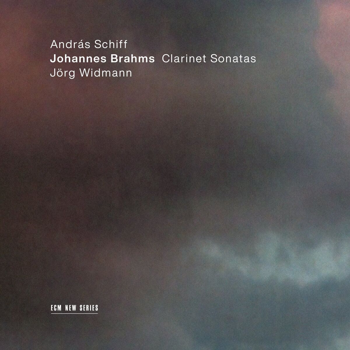 Album cover of Johannes Brahms: Clarinet Sonatas