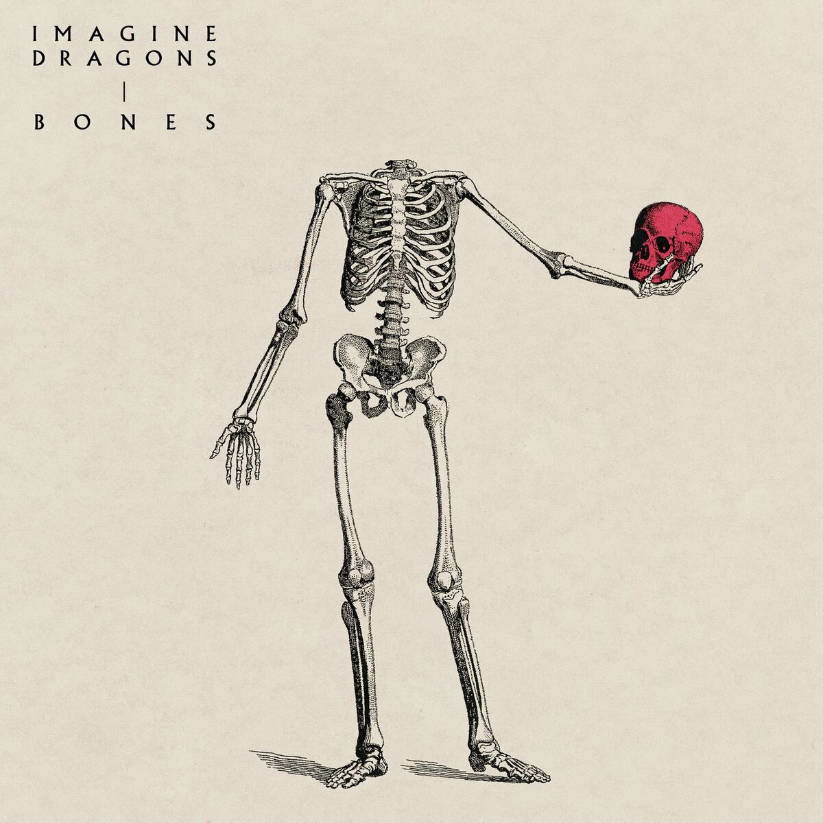 Album picture of Bones