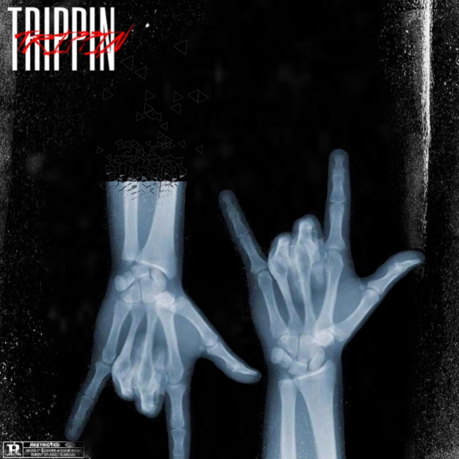 Album cover of RENO TRIPPIN