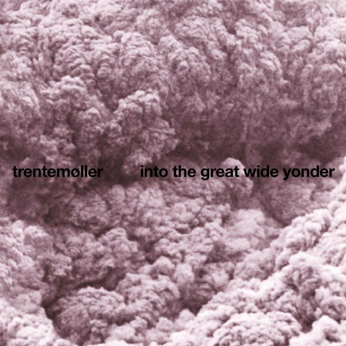 Album cover of Into the Great Wide Yonder