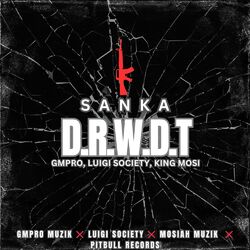 Cover of D.R.W.D.T