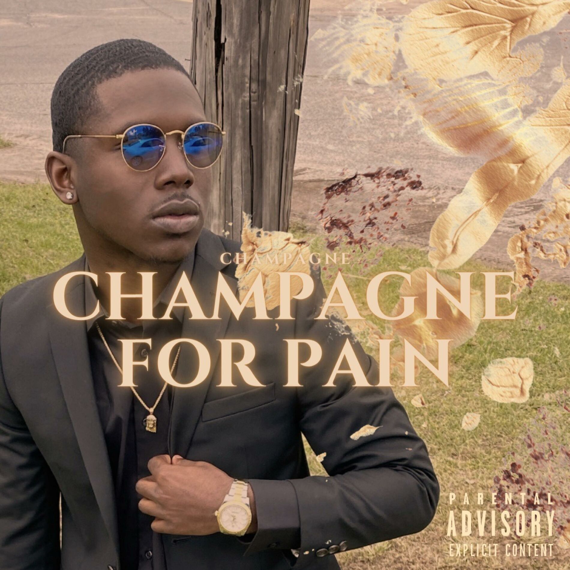 Album cover of Champagne For The Pain