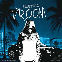Cover of Vroom