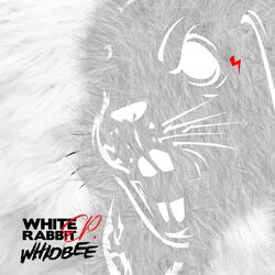 Cover of White Rabbit