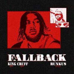 Cover of FALLBACK