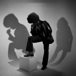 Cover of Shadow
