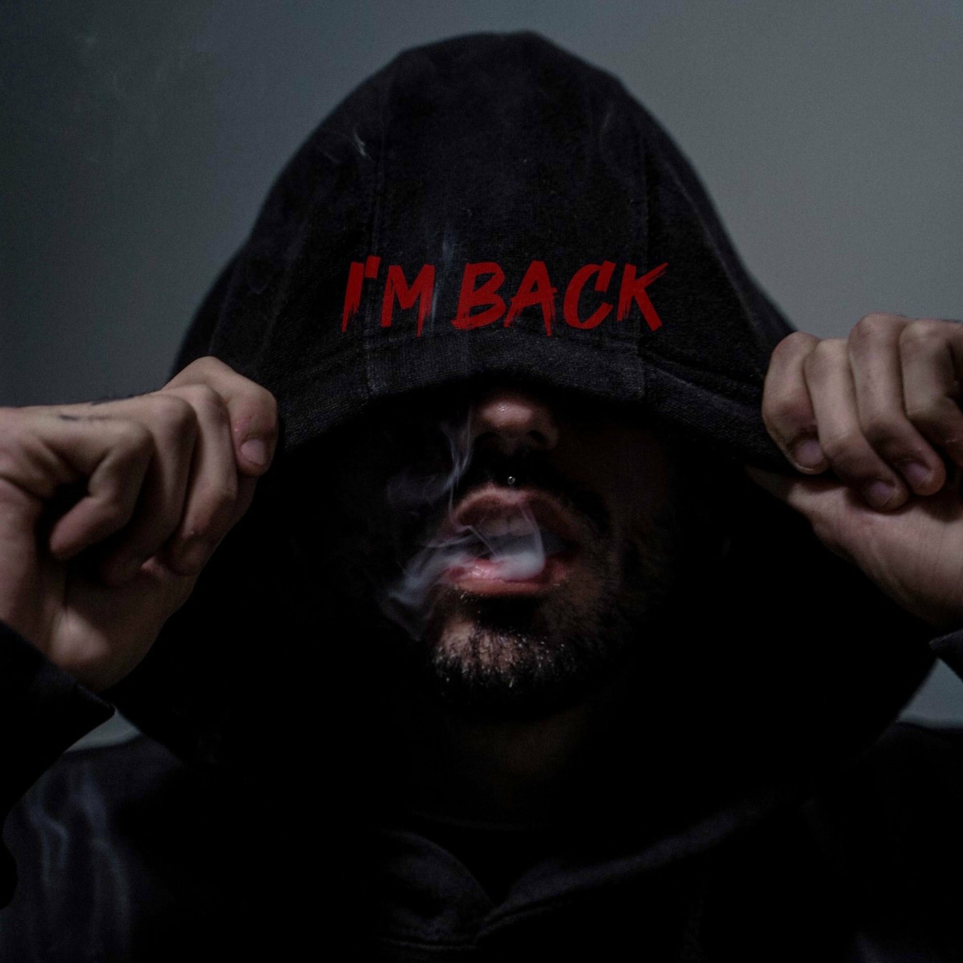 Album cover of I'm Back