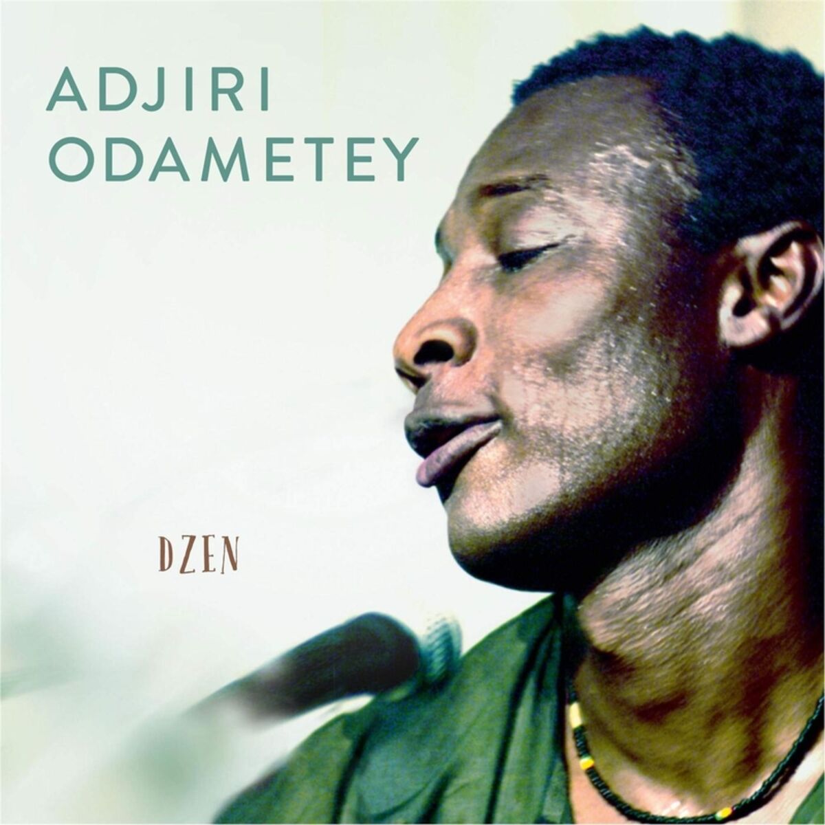 Album cover of Dzen