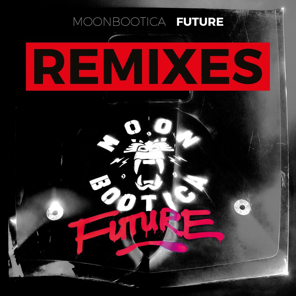 Picture of Future (Remixes)