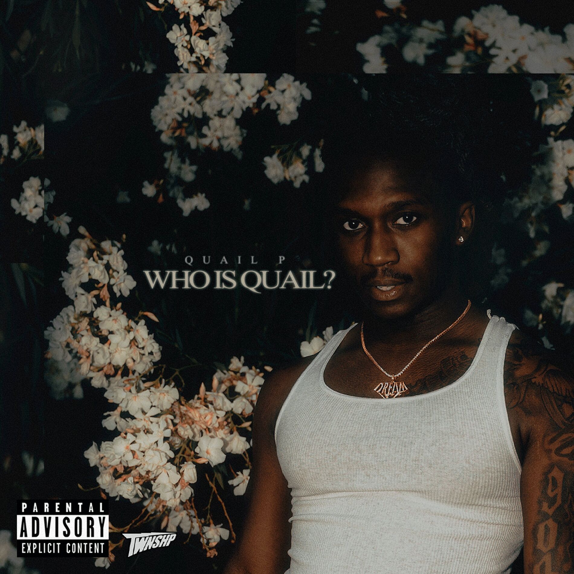 Album cover of Who Is Quail?