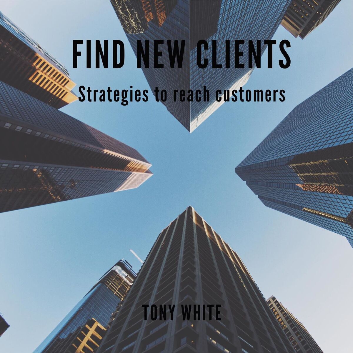 Album cover of Find New Clients - Strategies to Reach Customers (Unabridged)