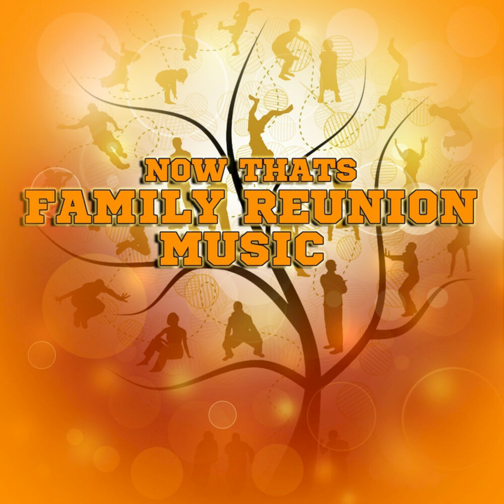 Picture of Now That's Family Reunion Music