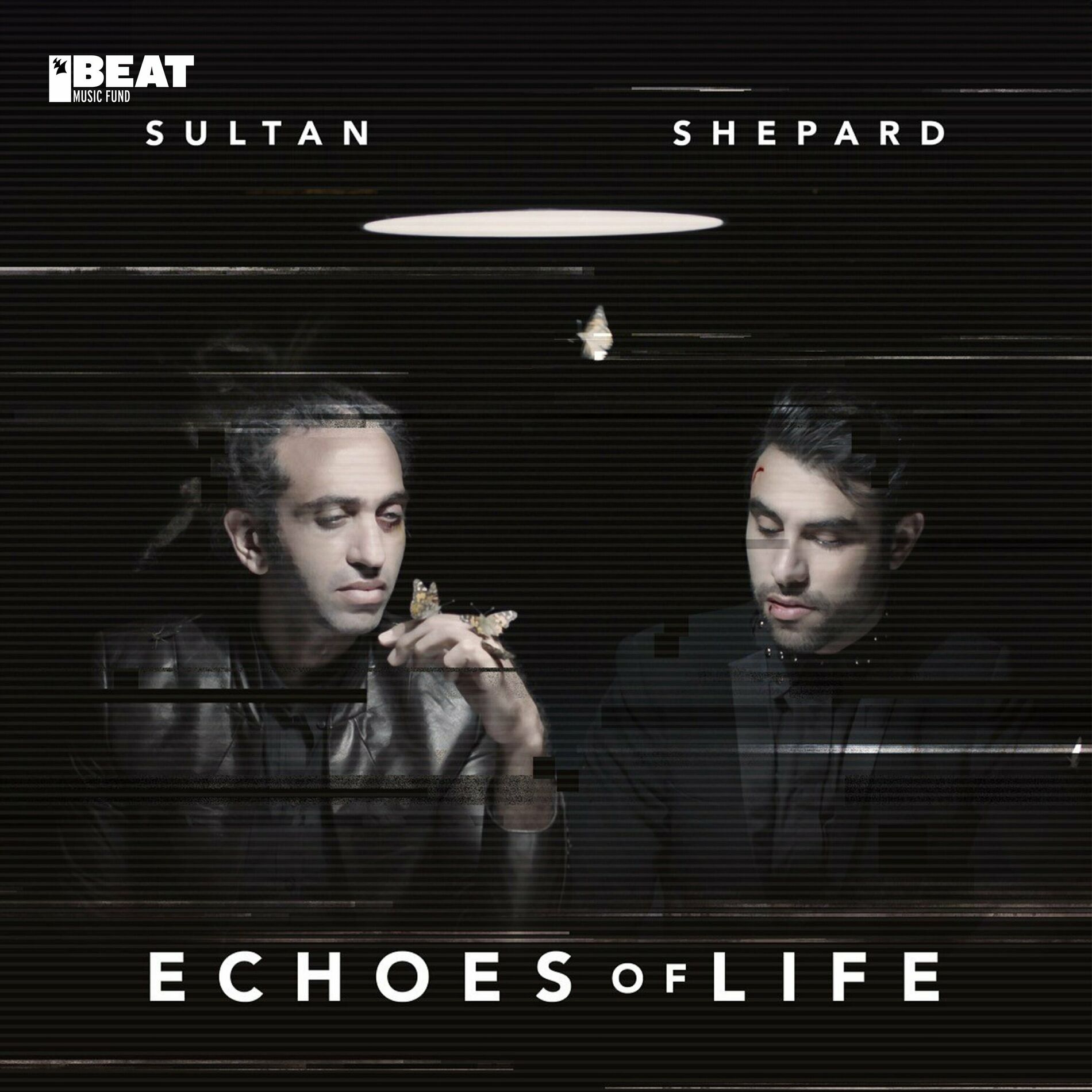 Album cover of Echoes Of Life: Day