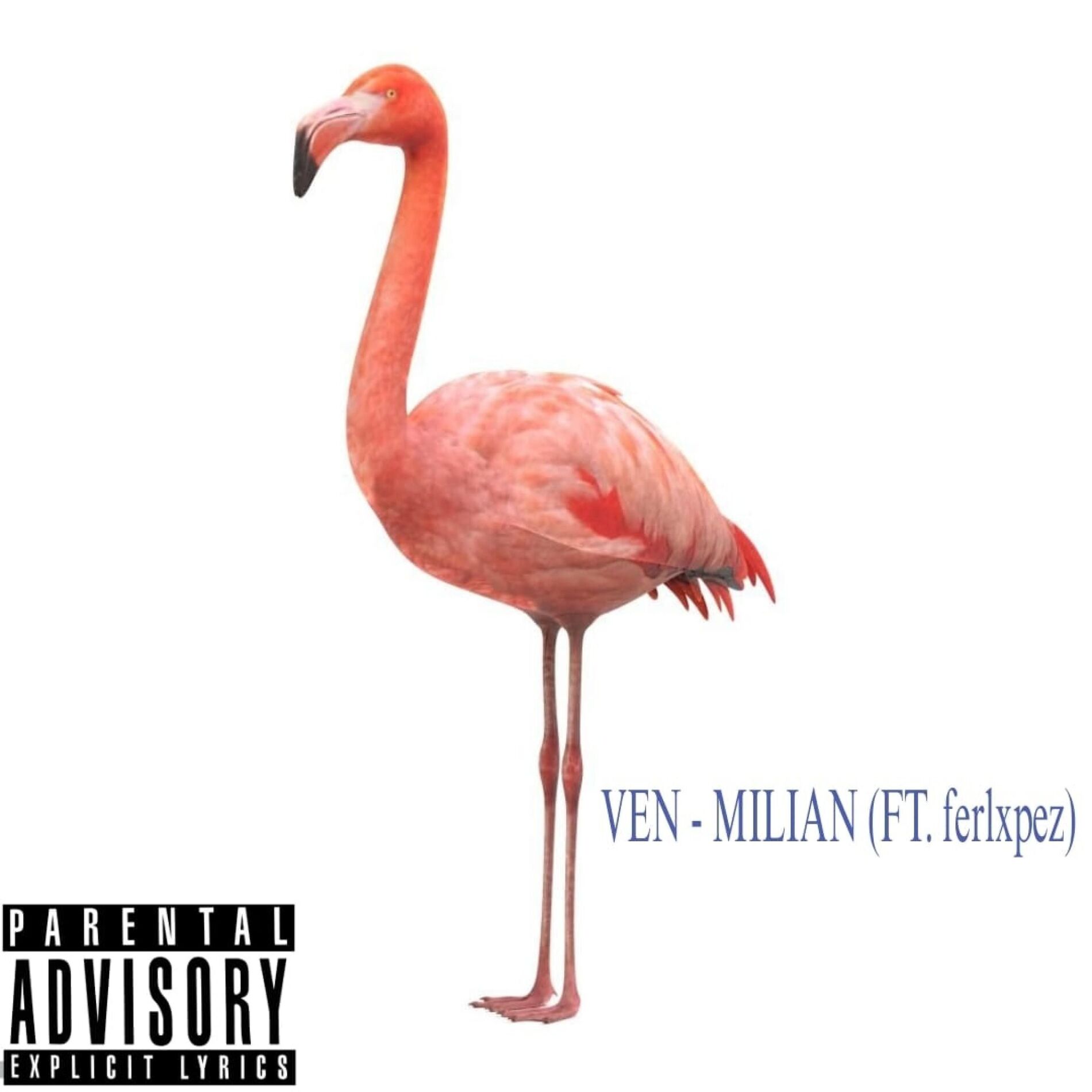 Album cover of VEN (feat. ferlxpez)