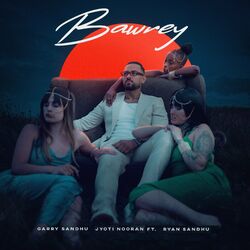 Cover of Bawrey