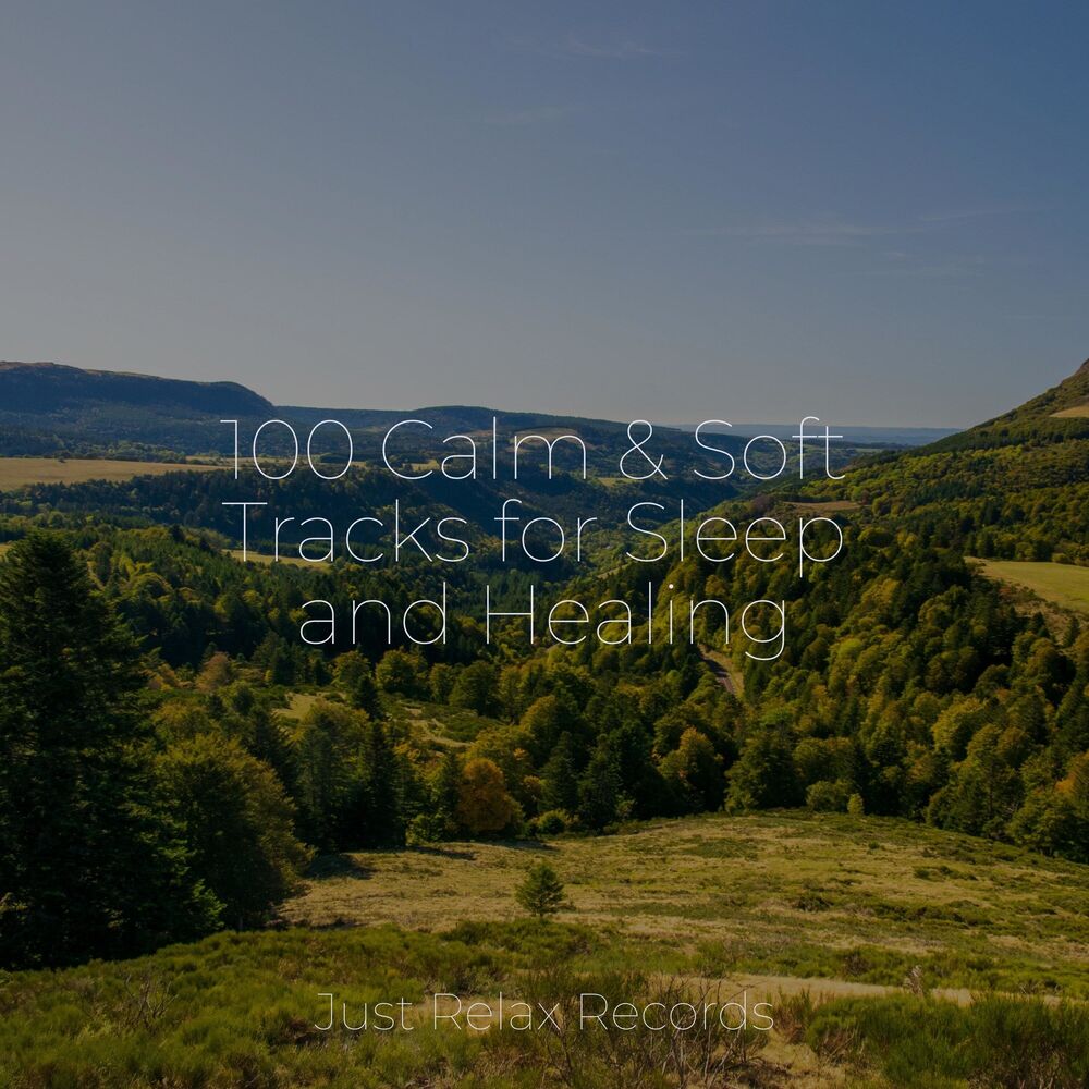 Picture of 100 Calm & Soft Tracks for Sleep and Healing