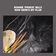 I See A Darkness by Bonnie 'Prince' Billy album cover