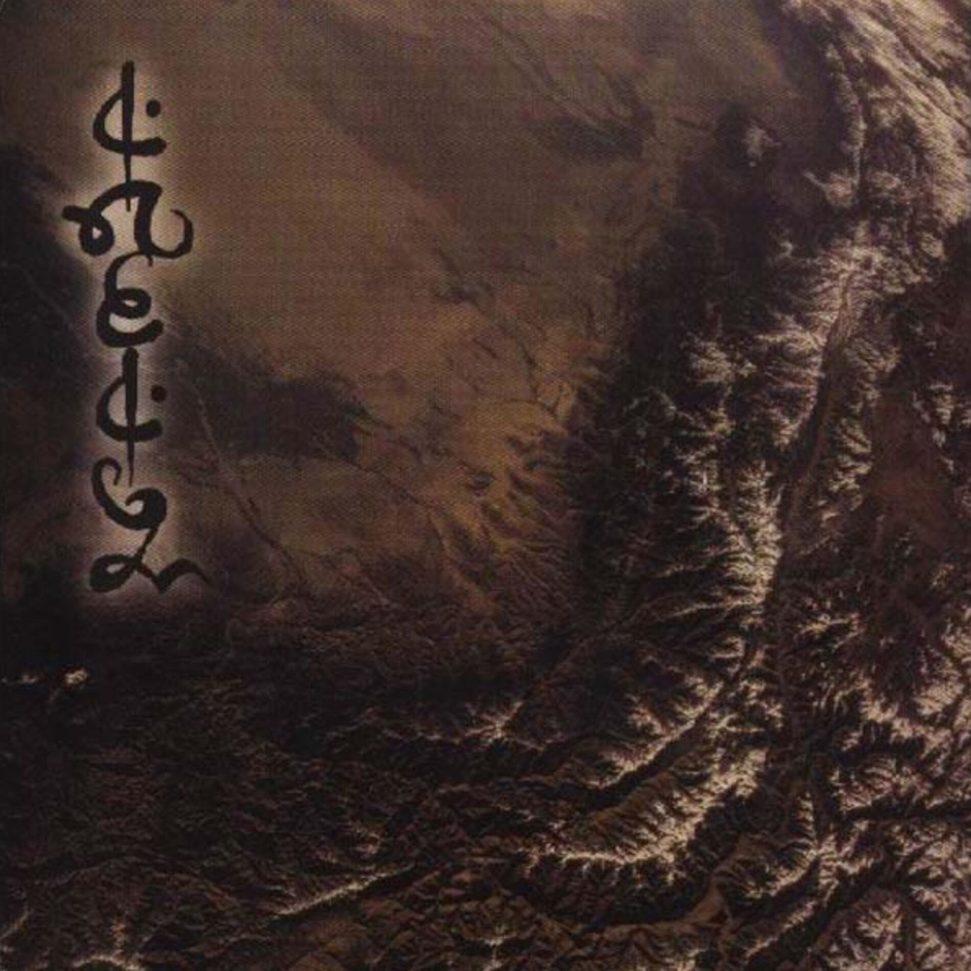Album cover of Leitmotif