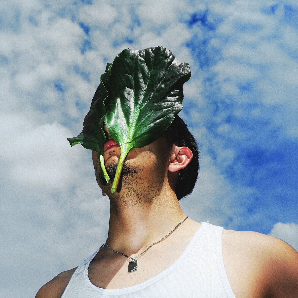 Album cover of Rêver un peu plus
