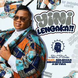Cover of Yini Lengaka