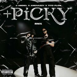 + PICKY (Remix)