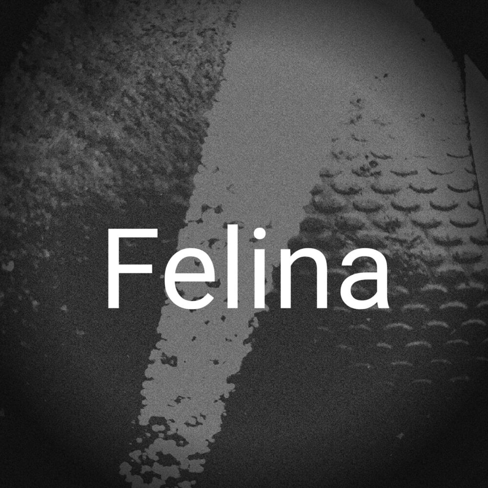 Picture of Felina