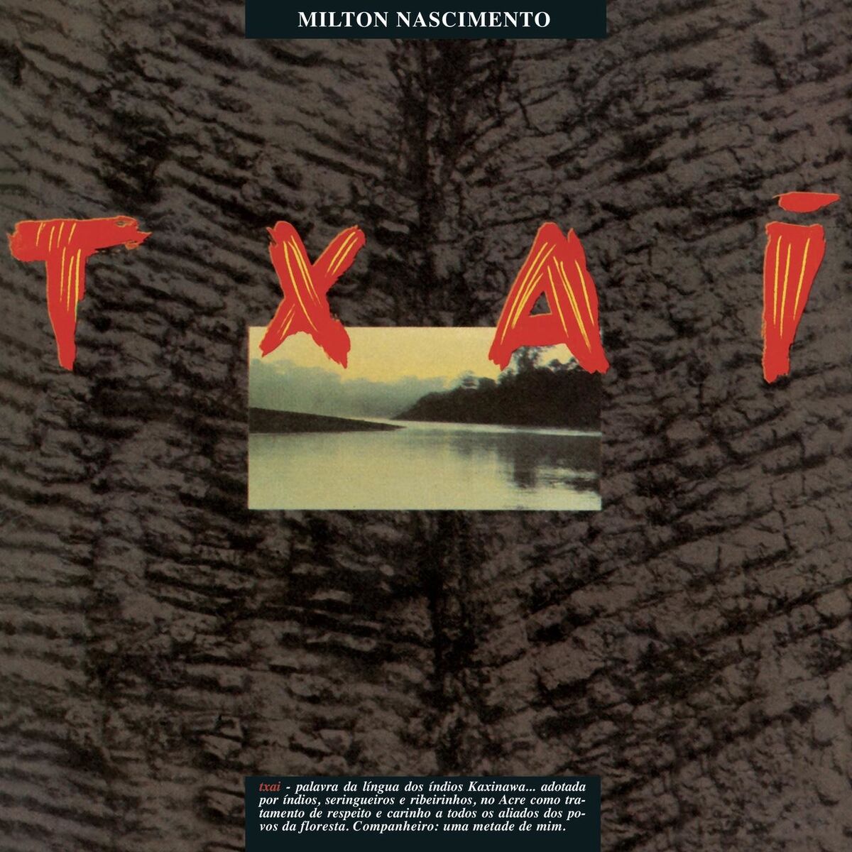 Album cover of Txai