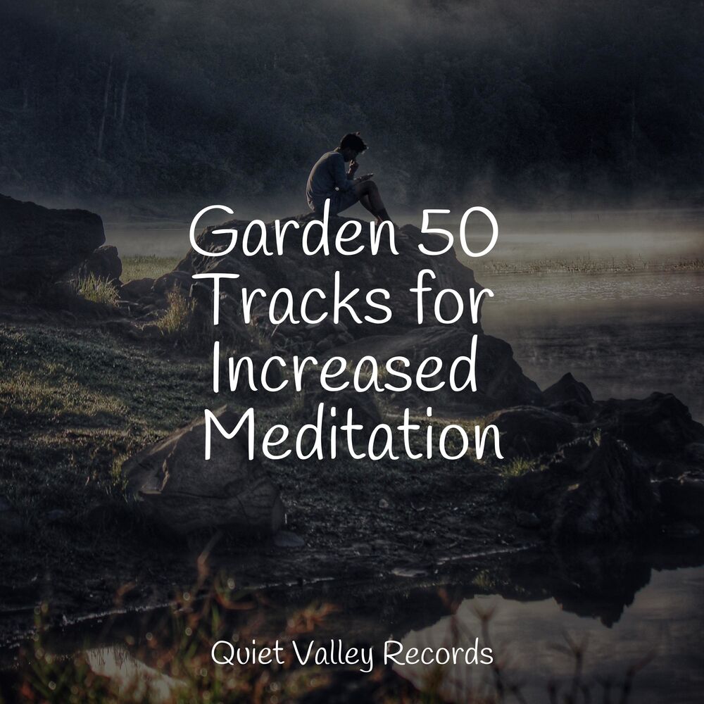 Picture of Garden 50 Tracks for Increased Meditation