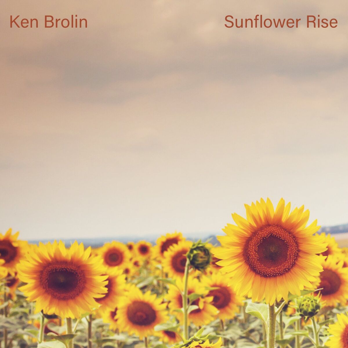 Album cover of Sunflower Rise