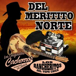 Cover of Del Meritito Norte